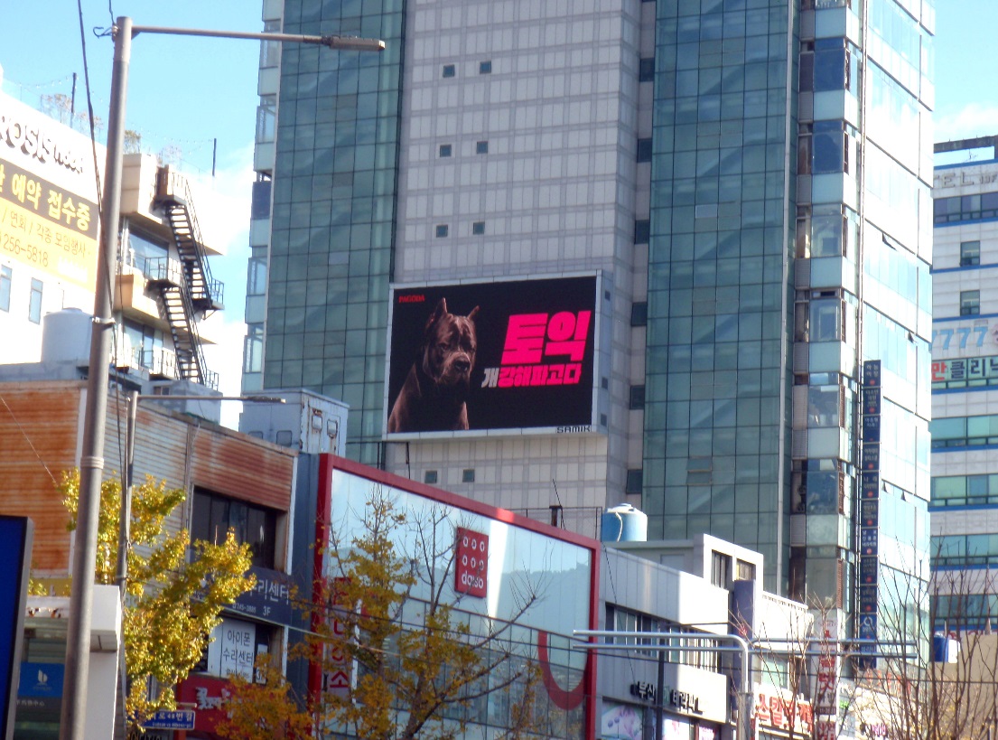 남포동 호림빌딩 LED 전광판